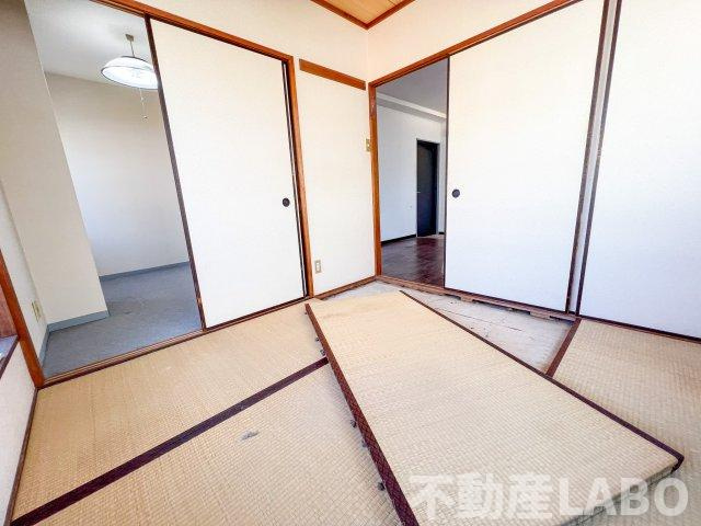 ロジェほりののその他