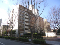 栄南団地　3号棟　8階の画像