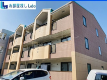 プリュジュールの画像