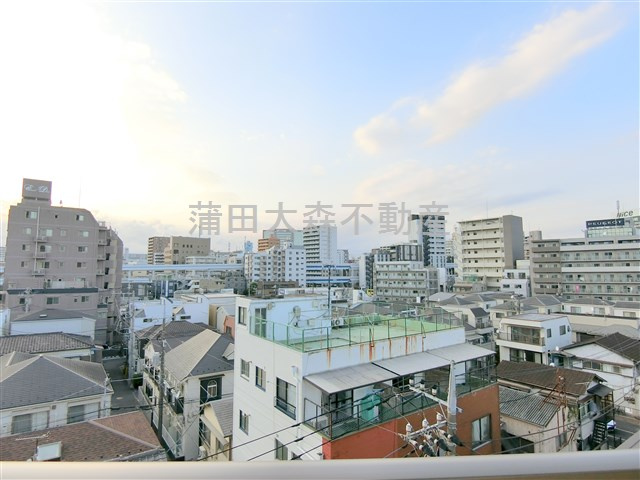 ジェノヴィア蒲田Ⅱスカイガーデンの展望|展望