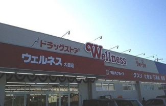【周辺】 | カリダドムス　β | ウェルネス大庭店まで1000m