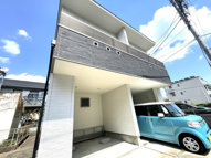 サンシャイン市場木の画像