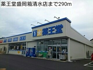 カーサ・プラシードの周辺|薬王堂盛岡箱清水店まで290m