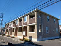 プラシードⅠの画像