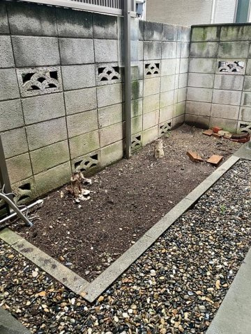 中央戸建の庭