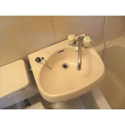 【洗面所】 | アグリアス | 洗面ボール