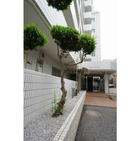 エレガンス綾瀬４の外観|外観