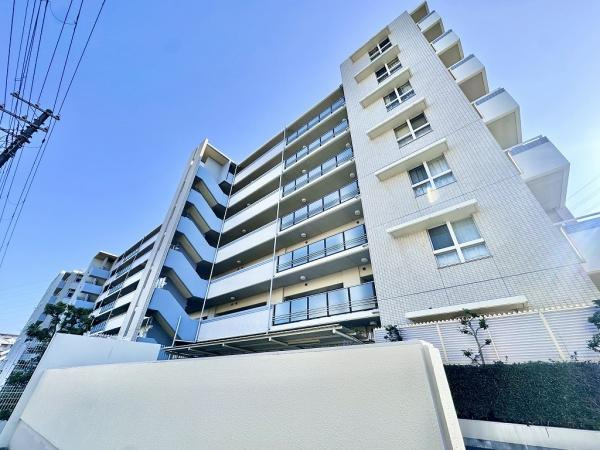 ネバーランド朝霧の画像