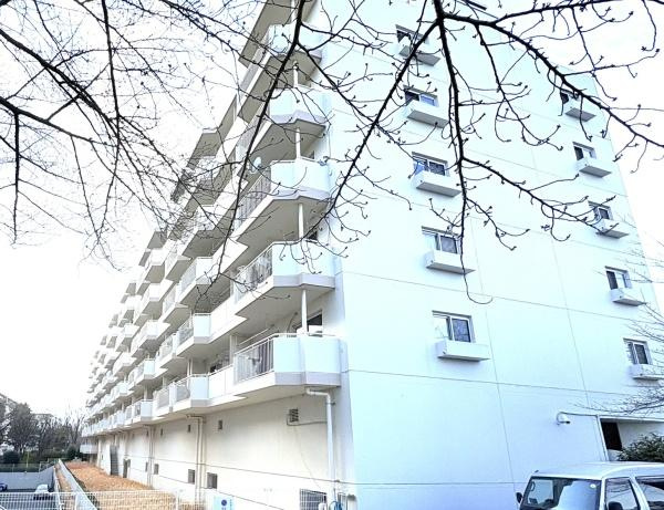 ドルフ青葉台３号棟のその他