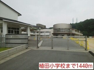 ベルフローラ　Ａ棟の周辺|植田小学校まで1440m