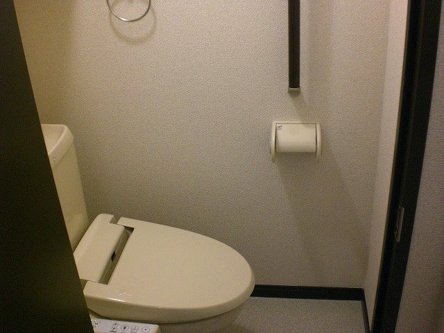 レオネクストアスパイアⅡのその他