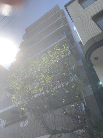 晋栄一番館のその他