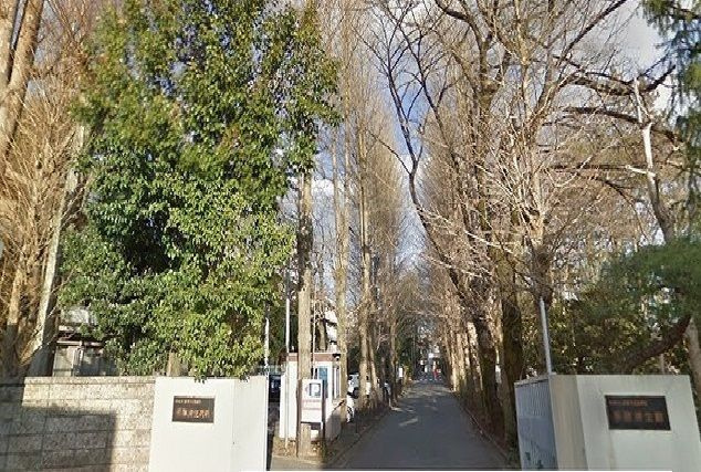 ウィステリア美園　Ａのその他