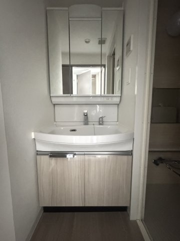 プレサンス神戸水木通ルミエスの洗面所
