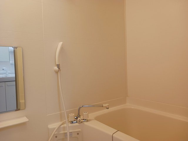 メゾンマキノの洗面所