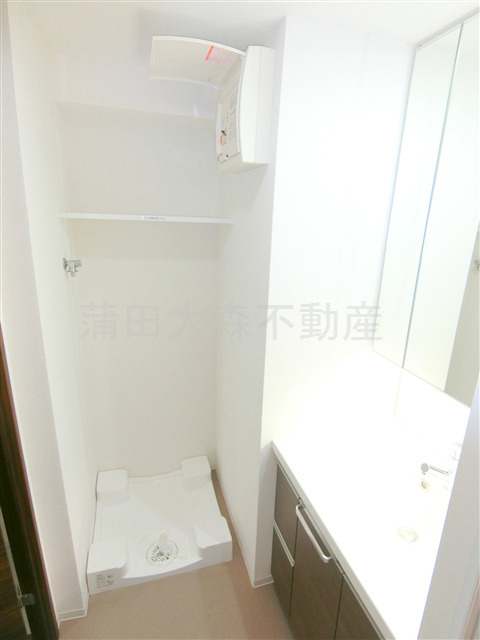 ブライズ蒲田EASTの洗面所