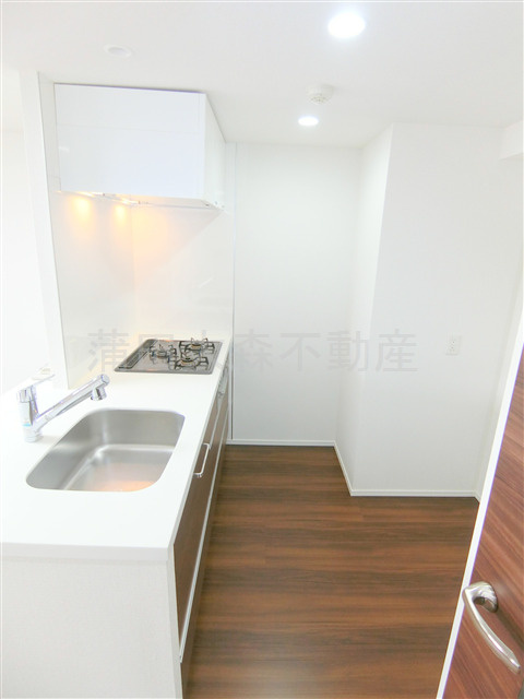 ブライズ蒲田EASTのキッチン