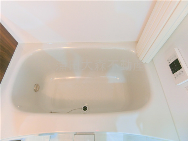 ブライズ蒲田EASTの浴室