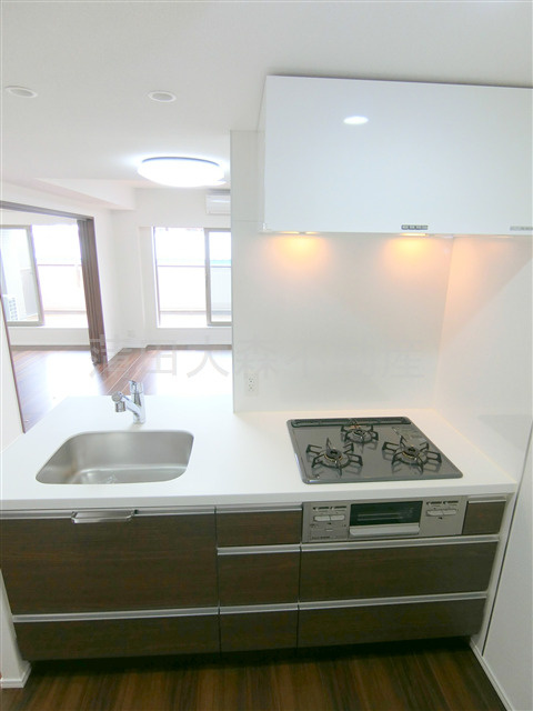 ブライズ蒲田EASTのキッチン|3口ガスグリル付システムキッチン　カウンターキッチン