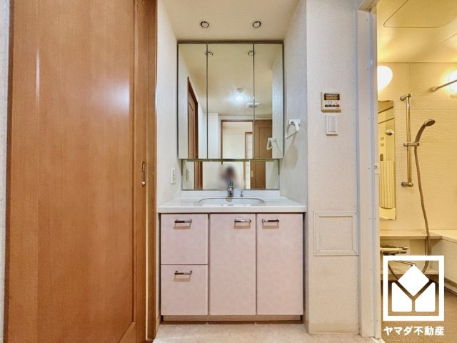 クレステージ桃山の独立洗面台