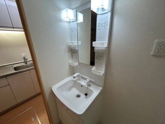 アイビーコート山崎の洗面所