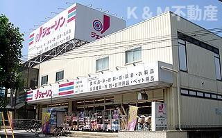（ロフト付き）Ｇｌａｎｚ新松戸の周辺|ジェーソン新松戸店まで694m 