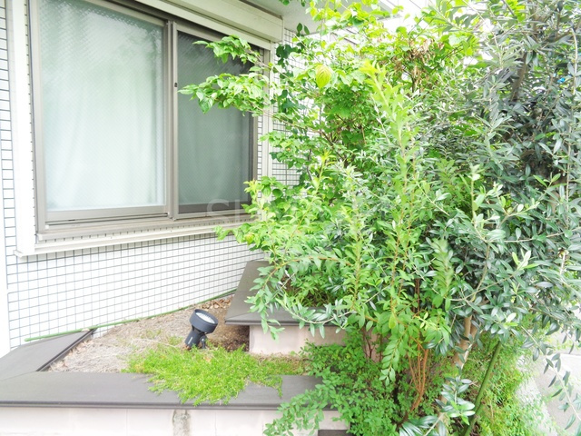 クレシェンド田端のその他|植栽です☆