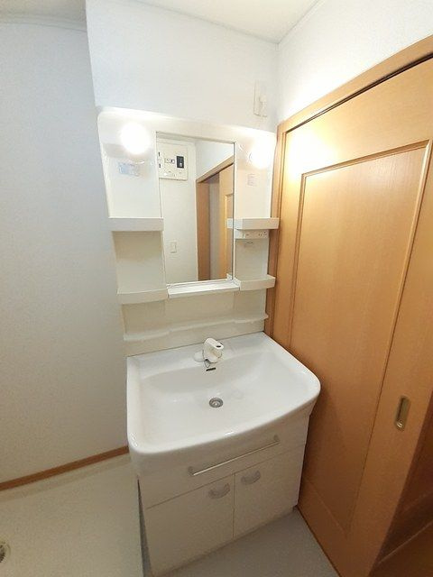 メゾンドデリエールの洗面所