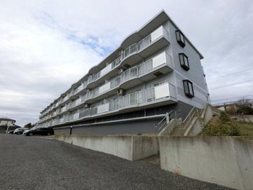 Cypress(サイプレス)の画像