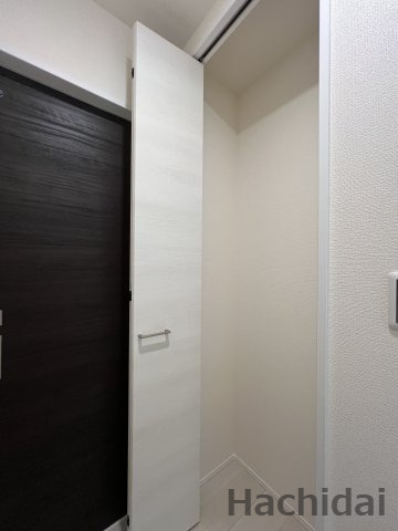 高浜市湯山町８丁目　全1棟の収納|玄関ホール収納