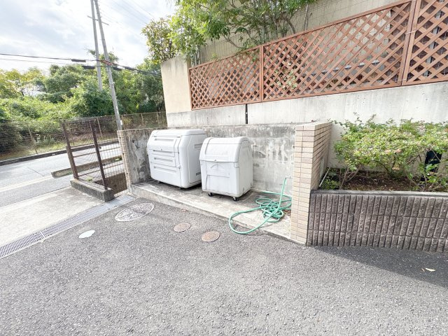 シャルムサンヒルズの庭