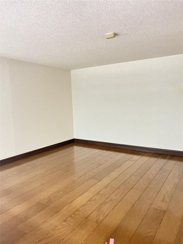 カンステレイションIIのその他