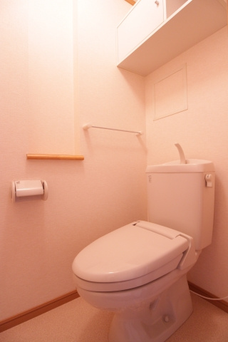 メゾンアンソレイエⅡのトイレ