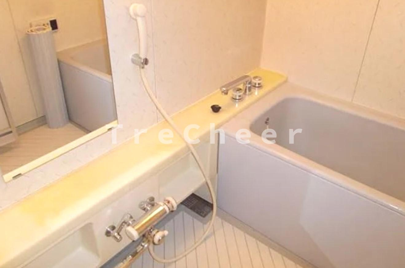 ロイヤルプラザの浴室