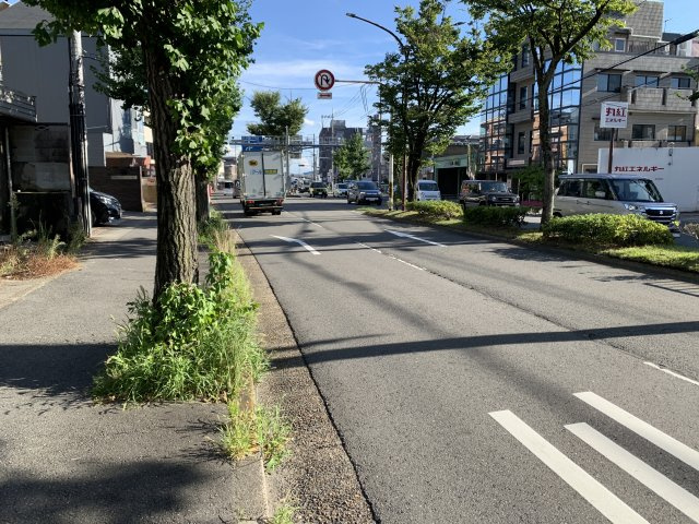 パークハイム宝ヶ池銀杏館の周辺