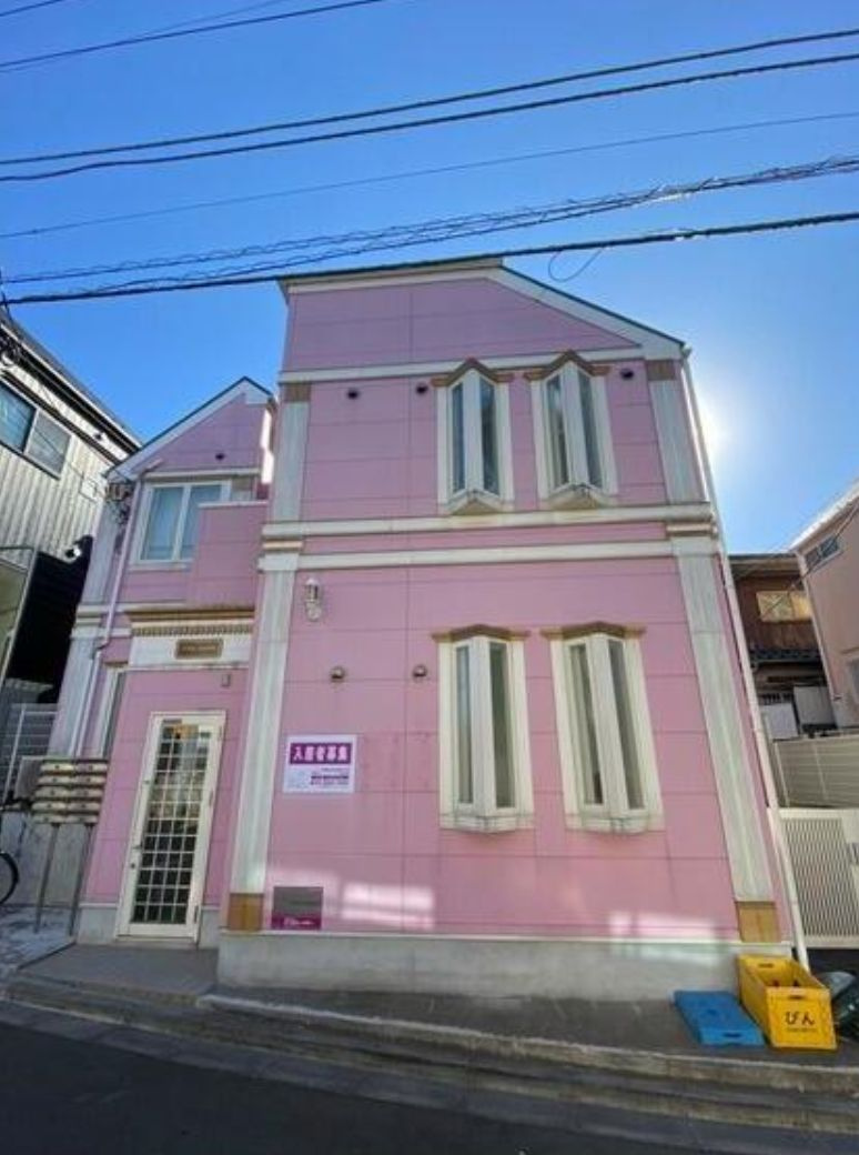 プラムフェリス（ピンク）の外観