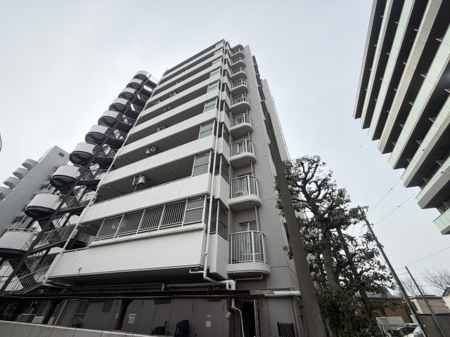 ソフトタウン綾瀬