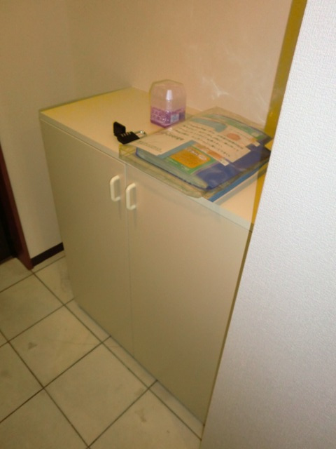 大阪市淀川区野中南２丁目の賃貸マンションの玄関|シューズBOX