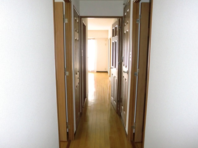 大阪市淀川区野中南２丁目の賃貸マンションのその他|廊下