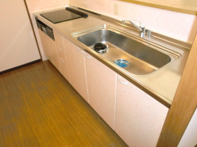 大阪市淀川区野中南２丁目の賃貸マンションのキッチン