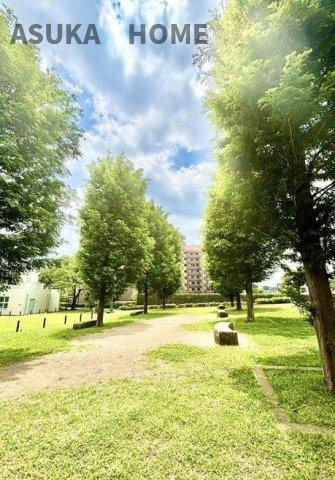 シンフォニックヒルズふれあいの街3号棟の展望|26 000m2を超える敷地にはメタセコイヤが並んで建植されております。