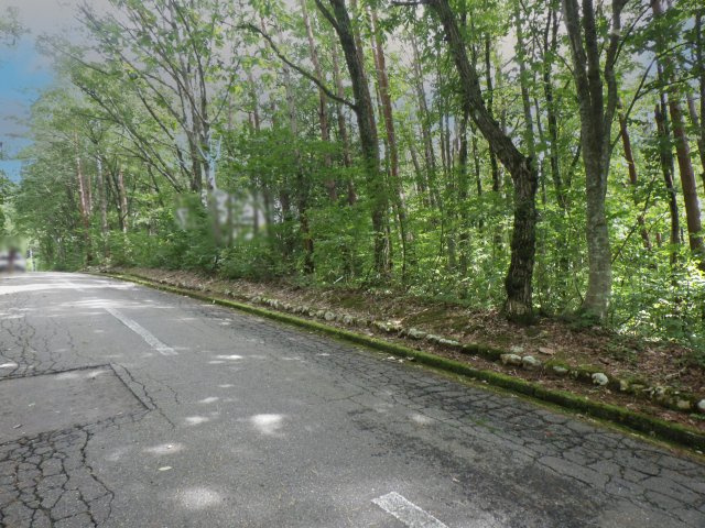 ニューパークひるが野⑧