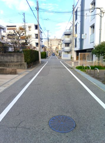 テラスけやきのその他|対象物件の前面道路写真（西側から撮影）