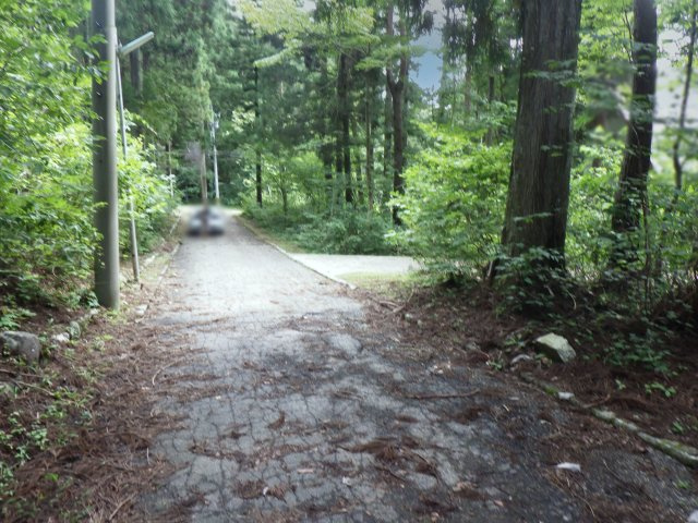 ニューパークひるが野⑨の前面道路含む現地写真