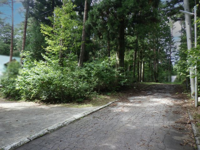 ニューパークひるが野⑨の前面道路含む現地写真