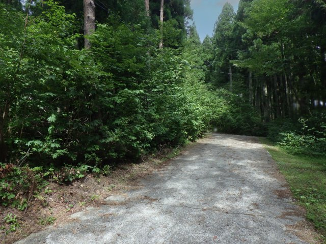 ニューパークひるが野⑨の前面道路含む現地写真
