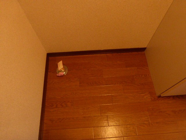 シャーメゾン寿八番館の洗面所