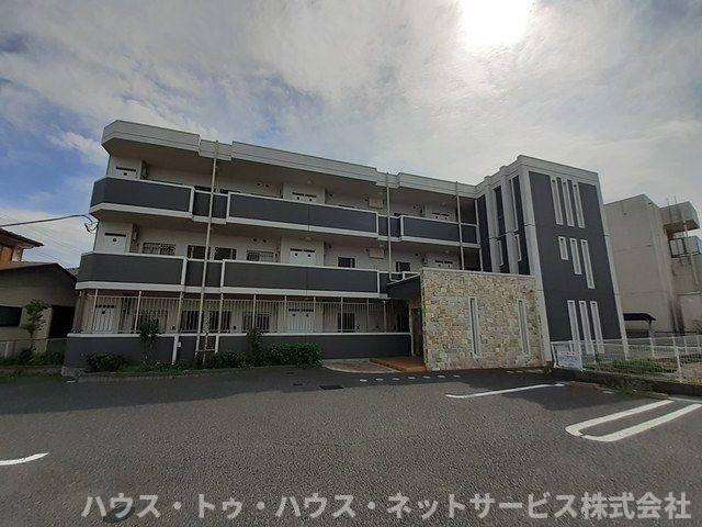 パープルコート・アゼリア