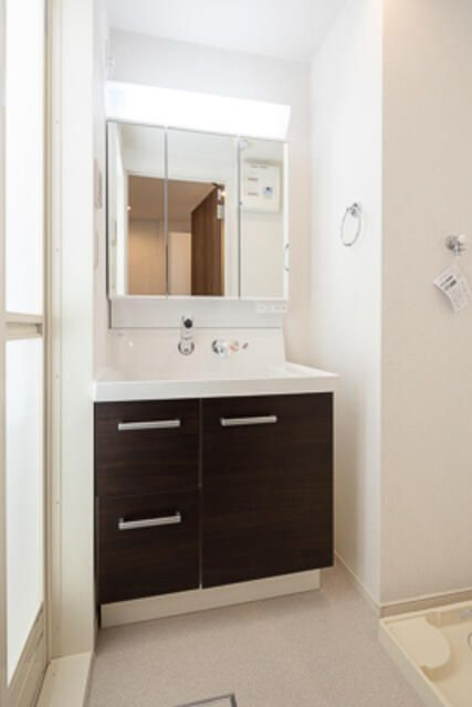 ルーチェ六義園の洗面所