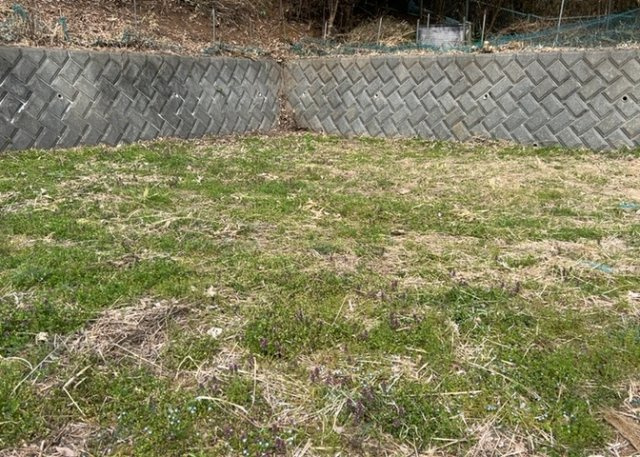 【外観】 | 土地を買う際、住む地域の自治体や福祉の補助制度にも注目してみましょう。子供や老人の医療補助やゴミ出しのルールなど、自治体によってルールに大きな違いがあるため、暮らしやすい土地で判断するとよいでしょう。